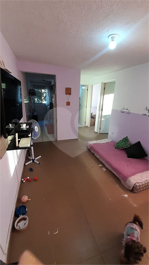Foto REO1105640