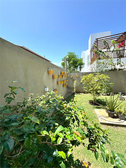 Foto REO1105641