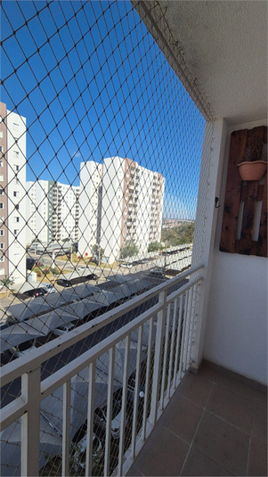 Foto REO1105647
