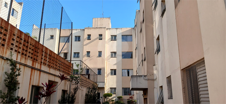 Foto REO1105651