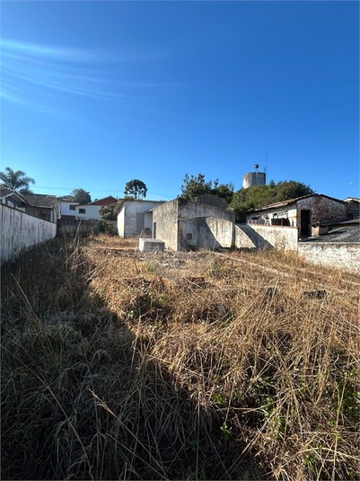 Foto REO1105654