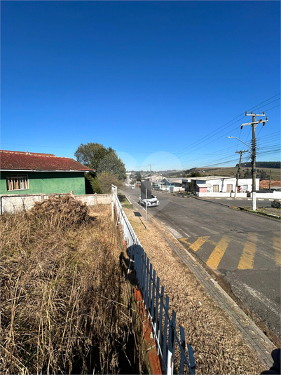 Foto REO1105654