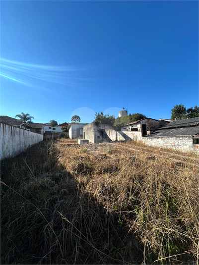 Foto REO1105654