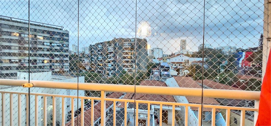Foto REO1105656