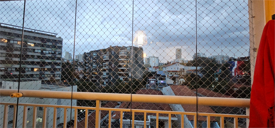 Foto REO1105656