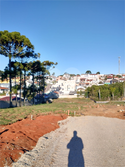 Foto REO1105663