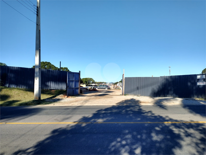 Foto REO1105663
