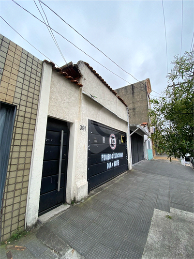 Foto REO1105667