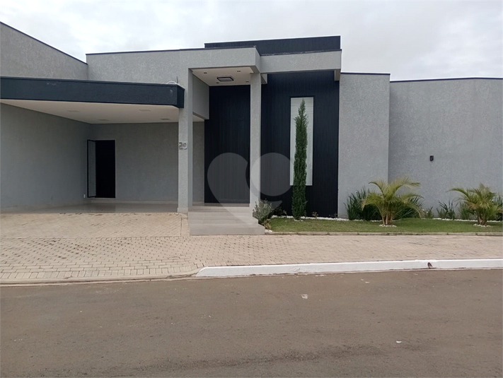Foto REO1105668
