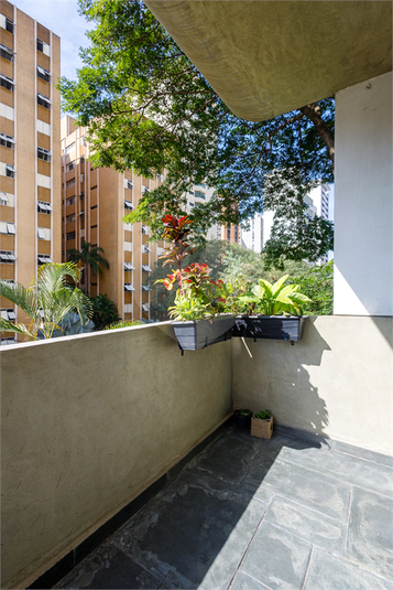 Foto REO1105676