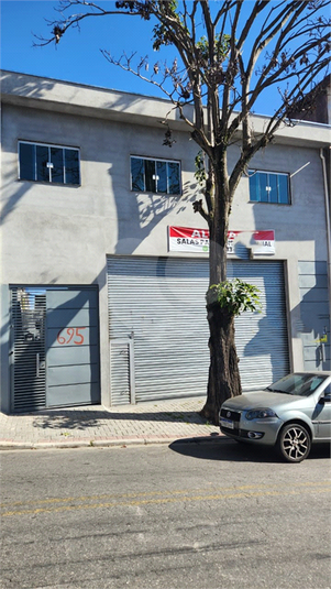 Foto REO1105677