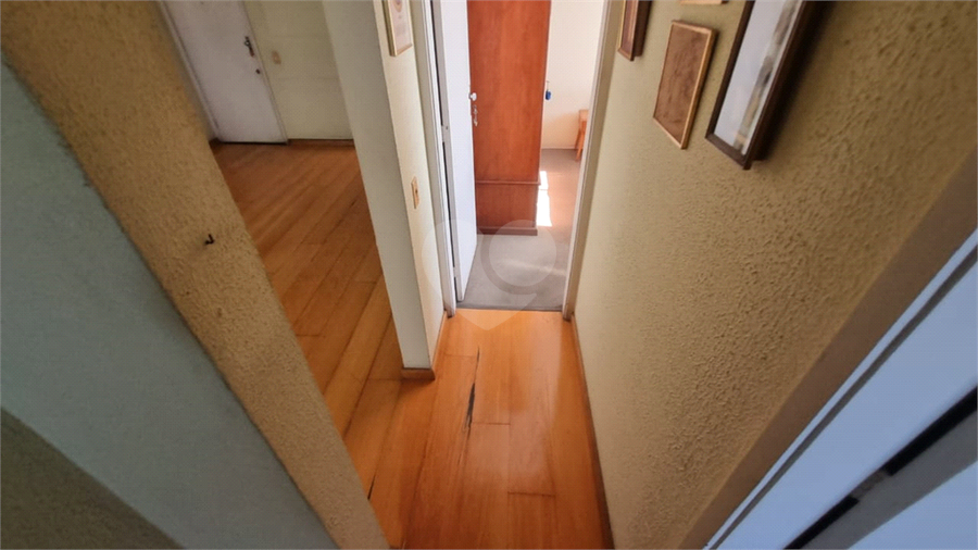 Foto REO1105685