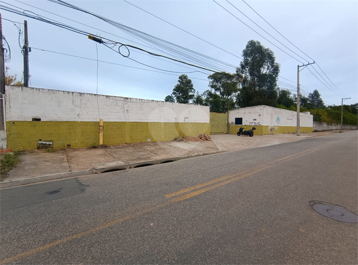 Foto REO1105687