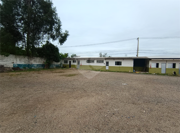 Foto REO1105687