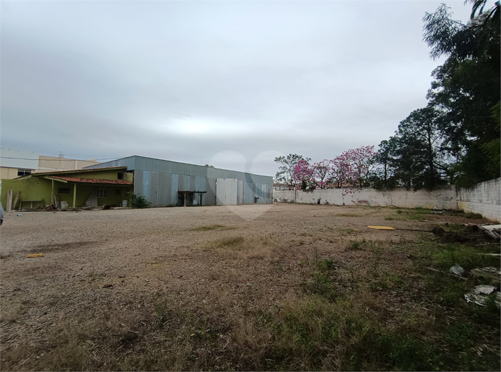 Foto REO1105687