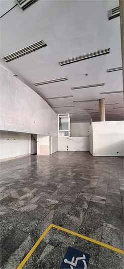 Foto REO1105689