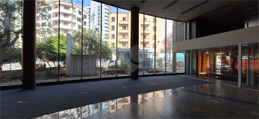 Foto REO1105689