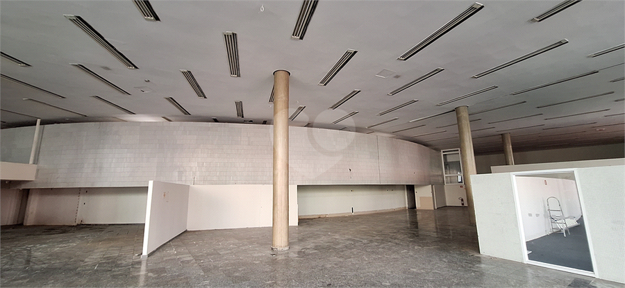 Foto REO1105689
