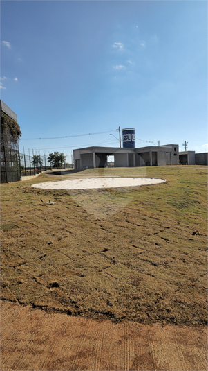 Foto REO1105694