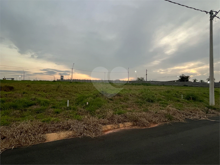 Foto REO1105694