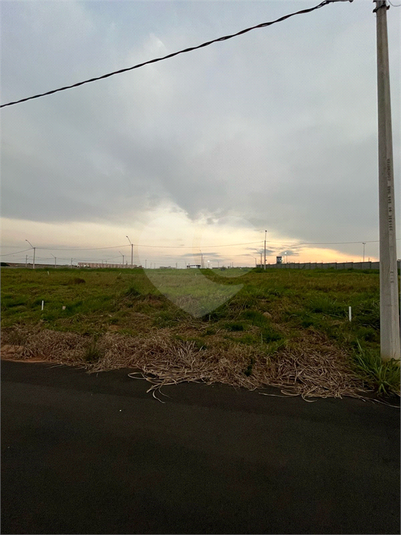 Foto REO1105694