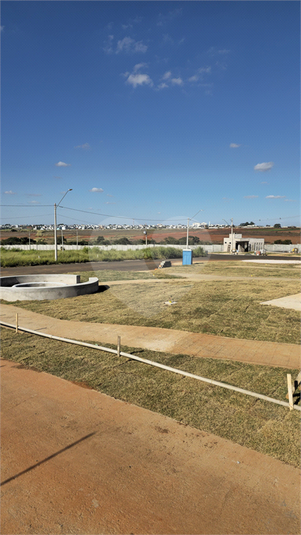 Foto REO1105694