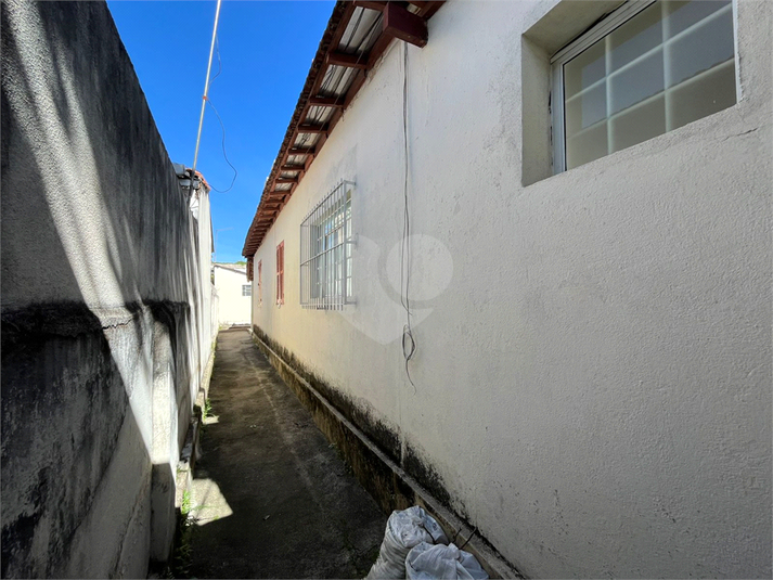 Foto REO1105696