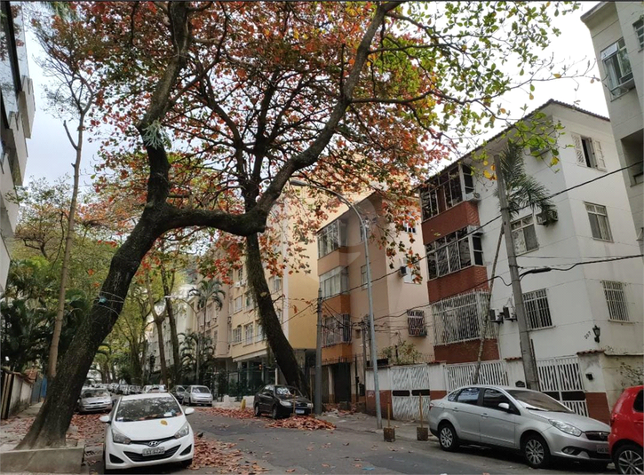 Foto REO1105739