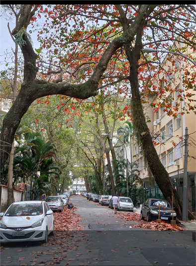 Foto REO1105739