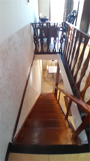 Foto REO1105759