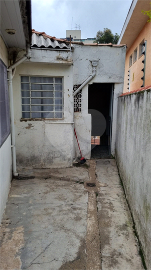 Foto REO1105763