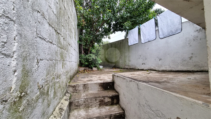 Foto REO1105763