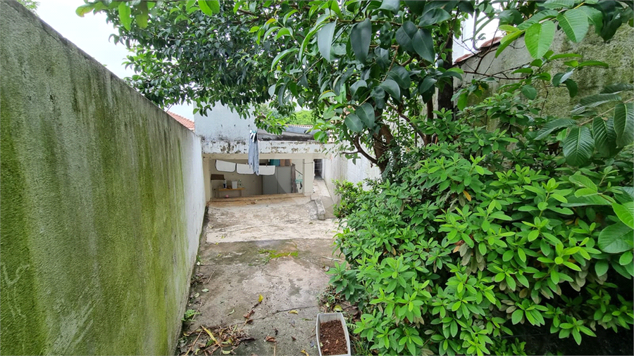 Foto REO1105763