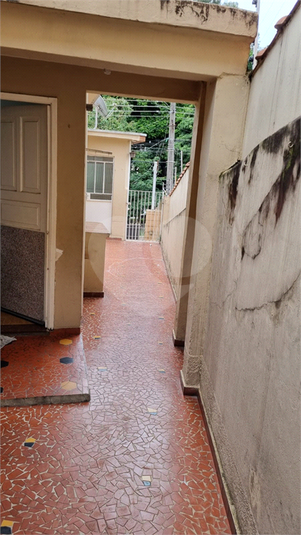 Foto REO1105763
