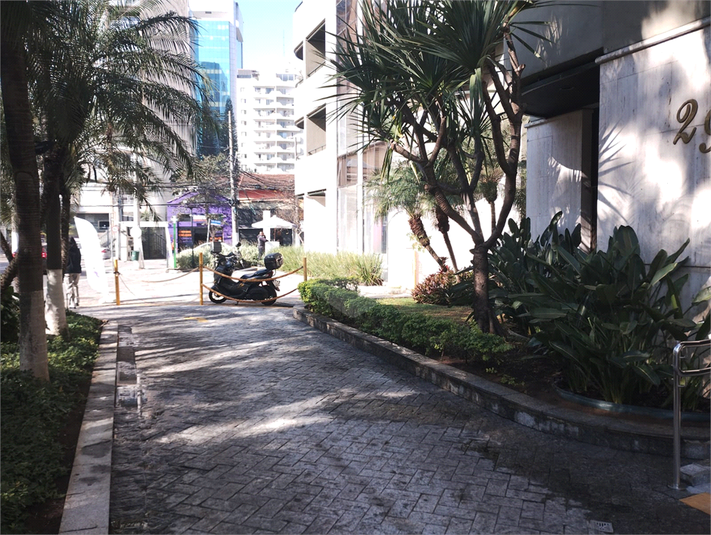 Foto REO1105767