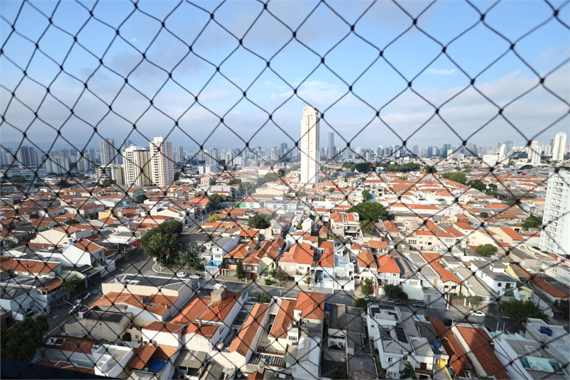 Foto REO1105768