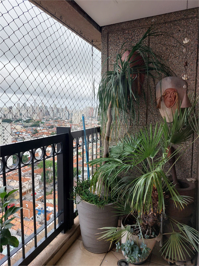 Foto REO1105768