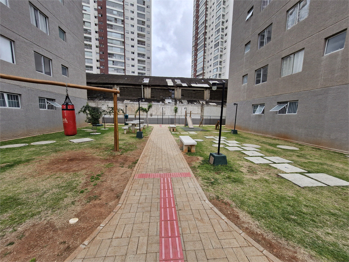 Foto REO1105774