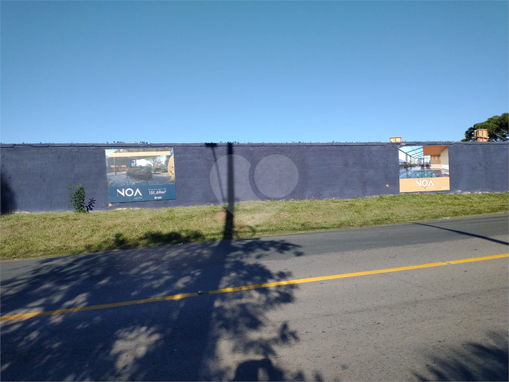 Foto REO1105785