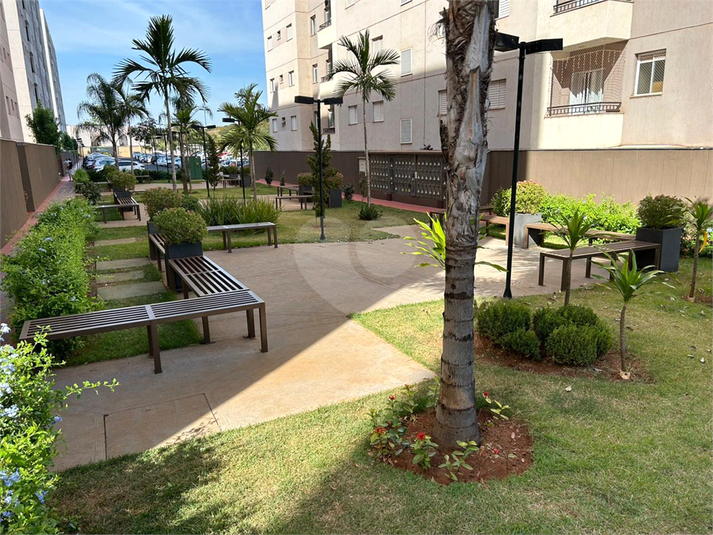 Foto REO1105787
