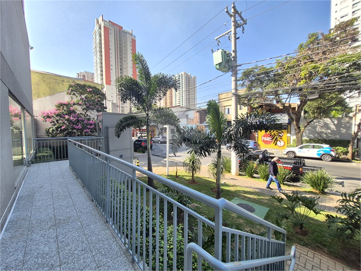 Foto REO1105796