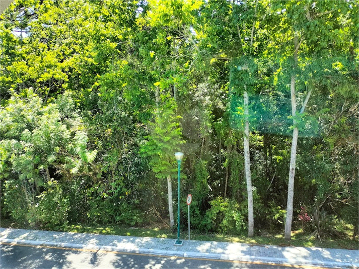 Foto REO1105801