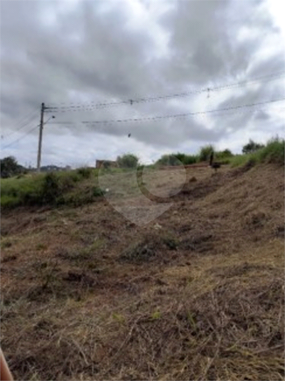 Foto REO1105814