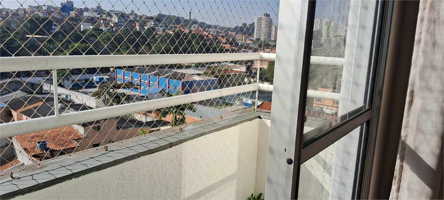 Foto REO1105824