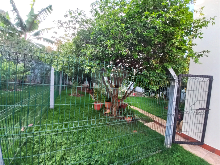Foto REO1105855