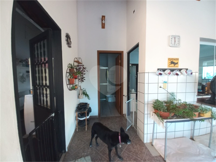 Foto REO1105855
