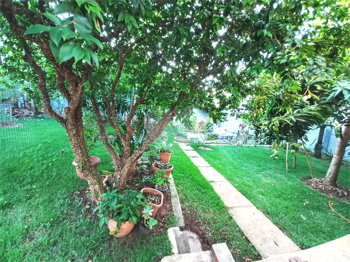 Foto REO1105855