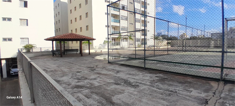 Foto REO1105861