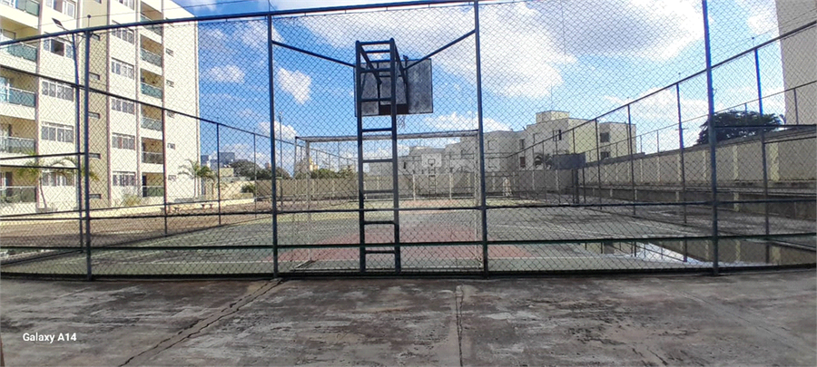 Foto REO1105861
