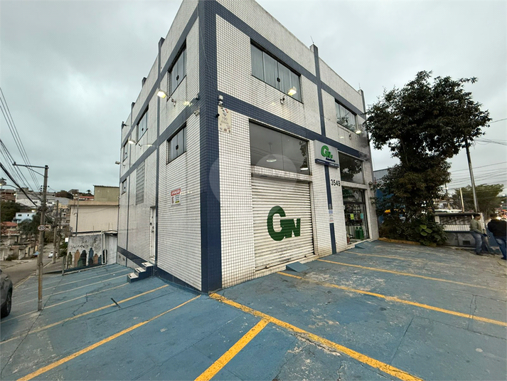 Foto REO1105862